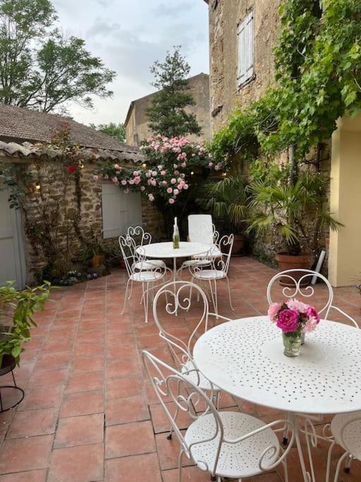 La Maison De Mama C: Charming French Village Home Sainte-Colombe-sur-l'Hers Bagian luar foto